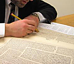 *http://commons.wikimedia.org/wiki/File:Talmud_study.JPG