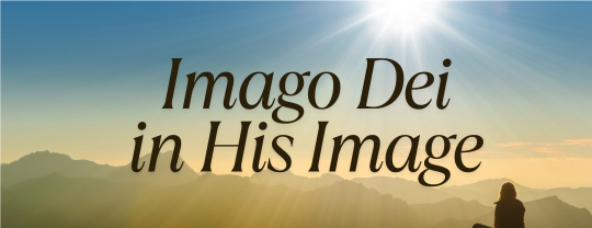 Imago Dei 608 x 400 px - 1 - bryantevans.com imago dei in the image of God